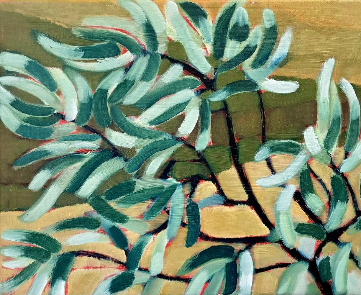 Olive Leaves